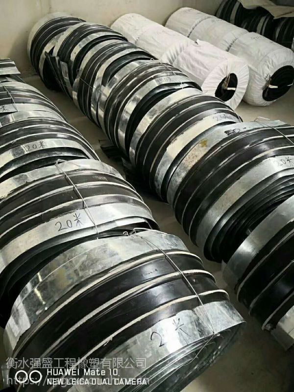 強盛鋼邊止水帶規(guī)格鋼邊橡膠止水帶廠家鋼邊橡膠止水帶批發(fā)鋼邊橡膠止水帶零售