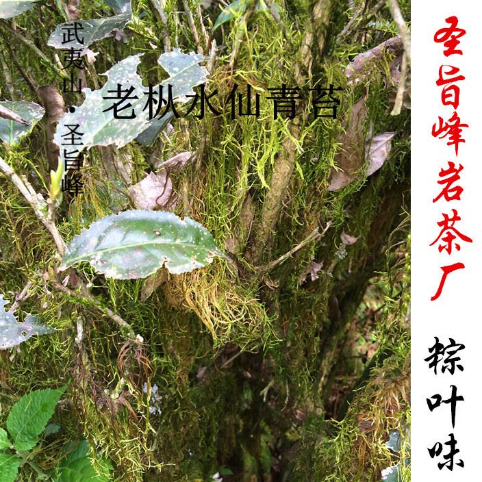 大紅袍 武夷山特級青苔味老樅水仙 吳三地百年老樅水仙
