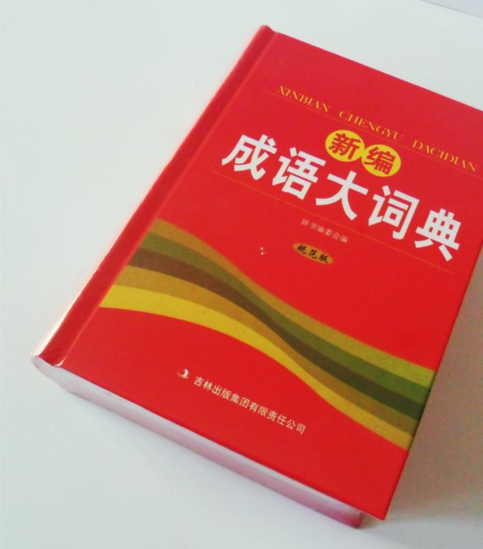 新編成語大詞典規(guī)范版新課標(biāo)小學(xué)生初中生3-9年級成語字典詞典