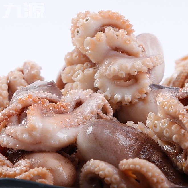 活章魚八帶蛸短腿章魚足長腿八爪魚加工鮮活水產(chǎn)海鮮批發(fā)