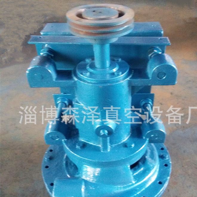 廠家直銷前級氣液分離器及濾液泵 造紙行業用泵 真空設備維修