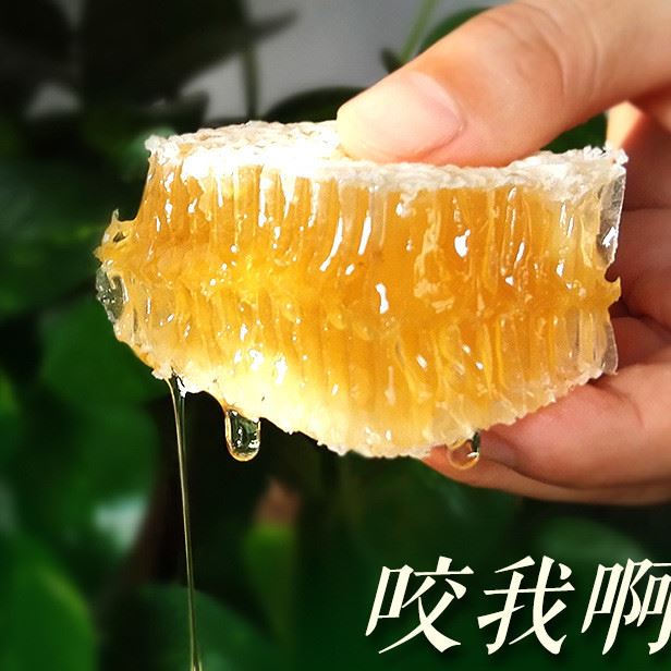 蜂巢蜜蜂蜜500g批发一件代发嚼着吃的蜂蜜蜂窝格子蜜