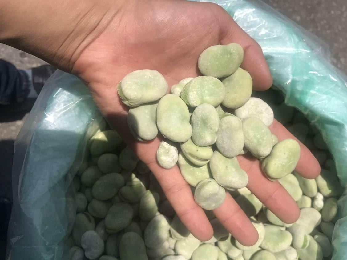冷凍速凍蠶豆 白皮蠶豆 白皮大板豆 粒子大顏色好 產(chǎn)地供應(yīng)直銷