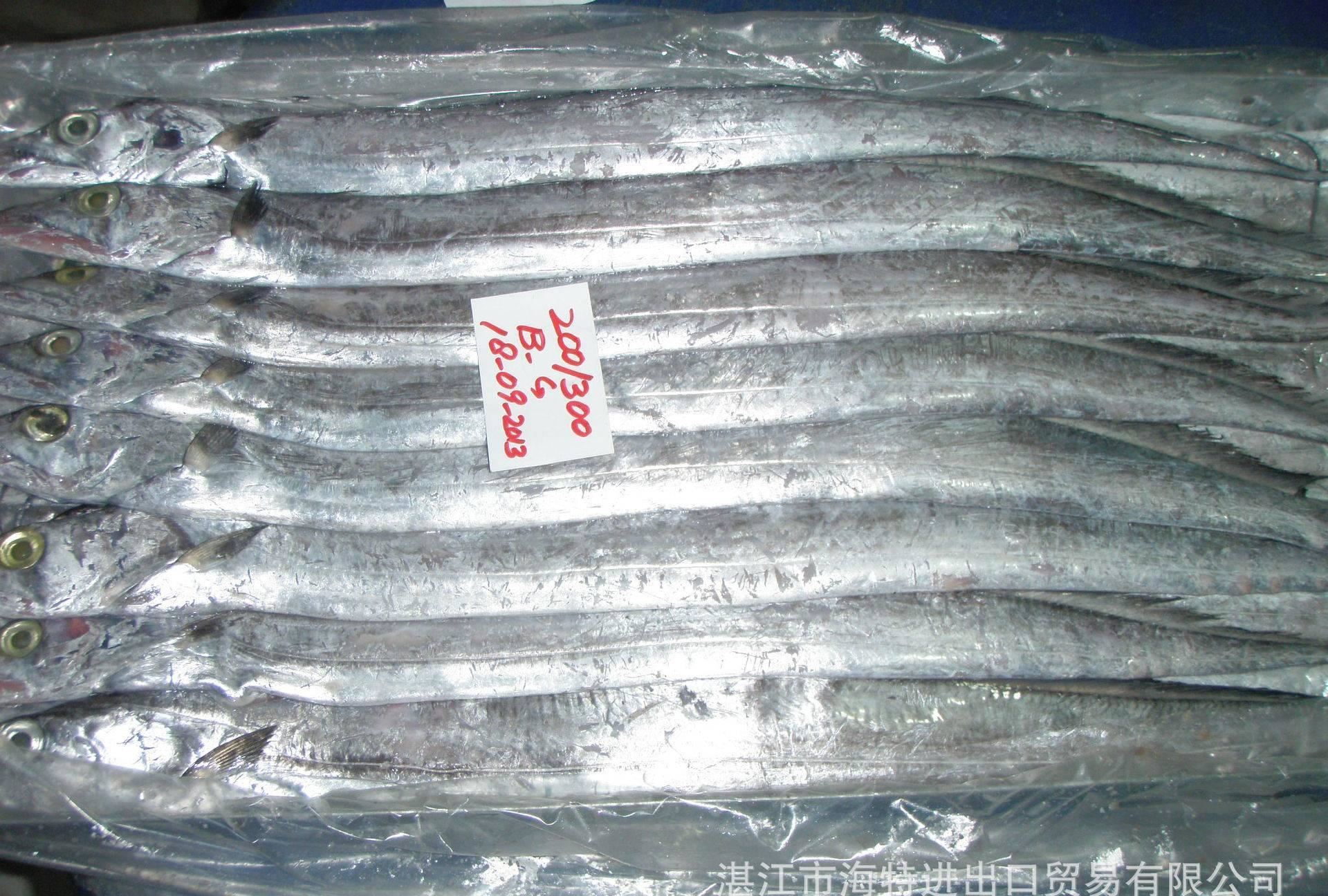 ribbon fish whole round英文名巴基斯坦原產國/地區冷凍水產食品工藝