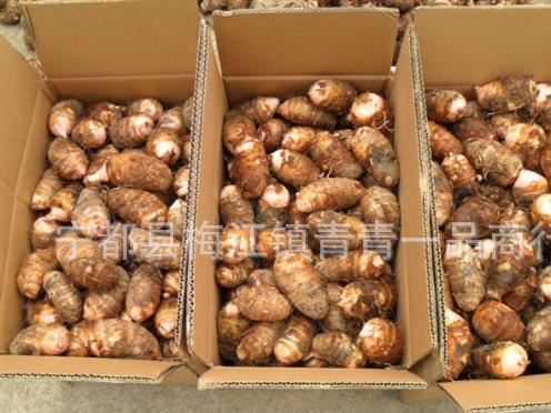 農(nóng)家新鮮芋頭毛芋頭19.9元4斤新鮮芋艿軟糯細化贛南芋頭特產(chǎn)包郵