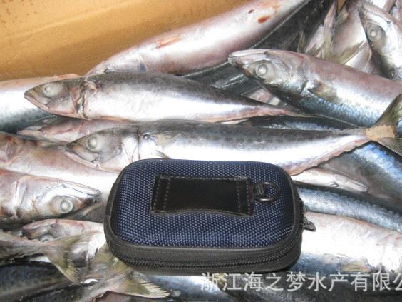 海之夢船凍凍青占魚青占魚 鮐巴魚 鯖魚