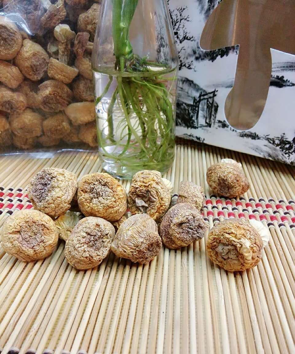 精美菌類禮盒裝250克 云南特產 姬松茸干品