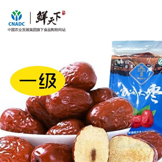 闐然果業(yè)一級 紅棗 駿棗 玉棗500g新疆二二四兵團(tuán)干果和田大棗