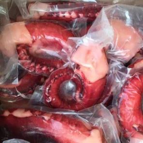 八爪魚章魚足切片燒烤串鄭州四海美來大量批發(fā)
