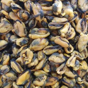 鄭州四海美來海虹肉干批發(fā)廠家直銷價(jià)格美麗