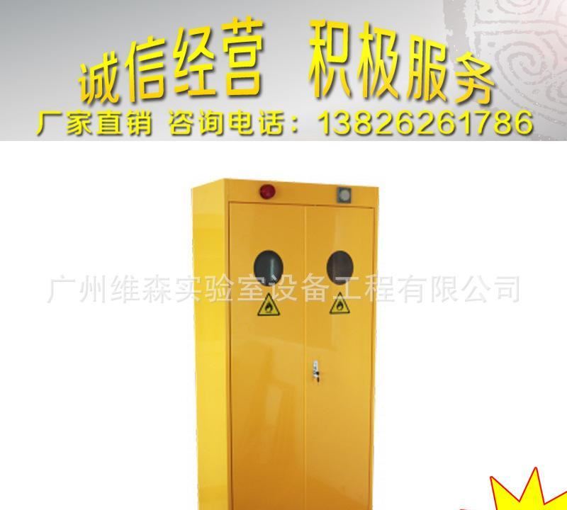 氣瓶柜 鋼瓶柜 實驗室設備 全鋼制實驗室家具廠家 工廠直銷