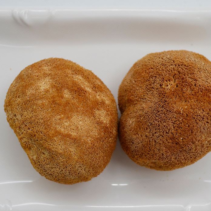 大山深處特產食用菌猴頭菇批發猴頭菇干貨散裝批發產地直銷猴頭菇
