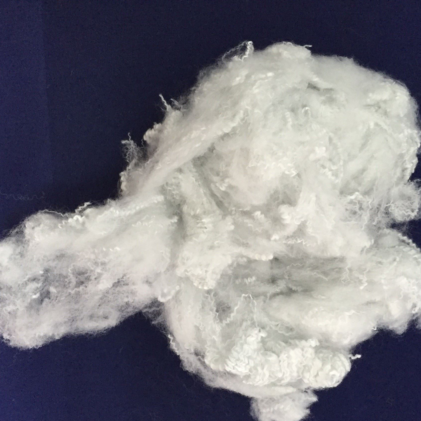 增白2.5D64 滌綸短纖 再生纖維 聚酯短纖