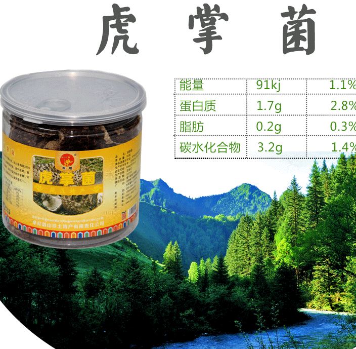 甘南土特产批发野生食用菌虎掌菌美味厨房必备50g旅游罐装